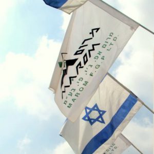 Explicación de los tipos de banderas israelíes que proporcionamos